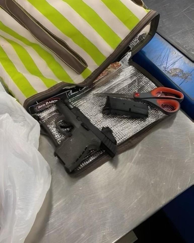 ABDde havaalanında çiğ tavuğa gizlenmiş silah bulundu