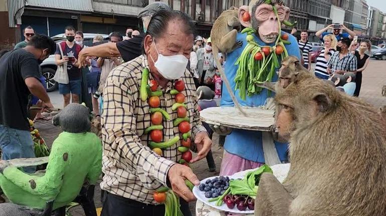 Tayland’da dikkat çeken festival Binlerce maymun şehir merkezine akın etti