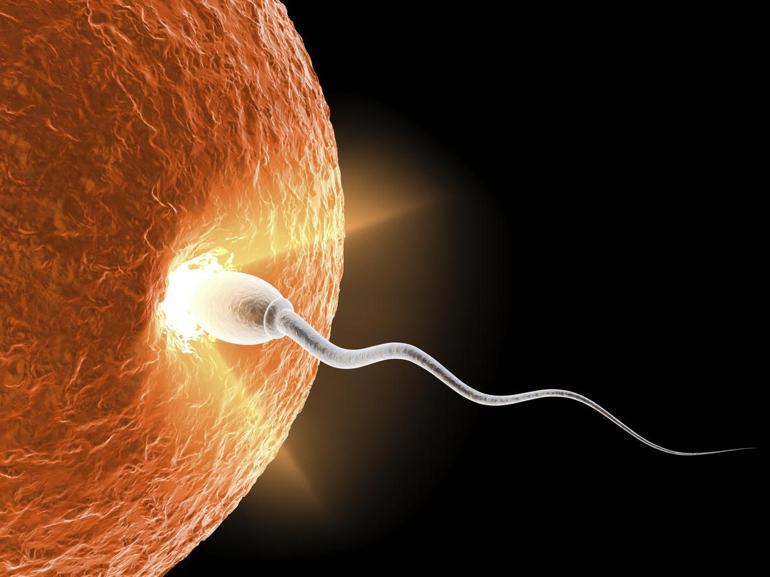 Spermi olmayan erkekler baba olabilir mi
