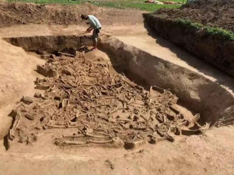 7 bin yıllık mezarlıktaki kesik başların gizemi İçlerinde yalnızca biri farklıydı