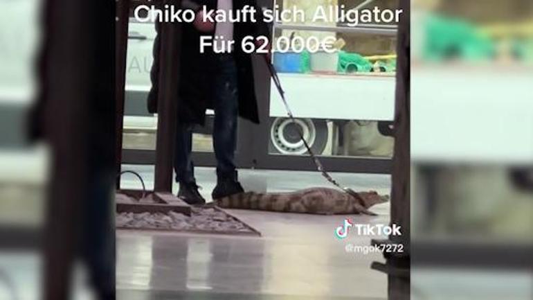 Parayı neye harcayacağını şaşırdı Almanyada loto milyoneri olan Kürşat, evcil timsahını gezdirirken görüntülendi