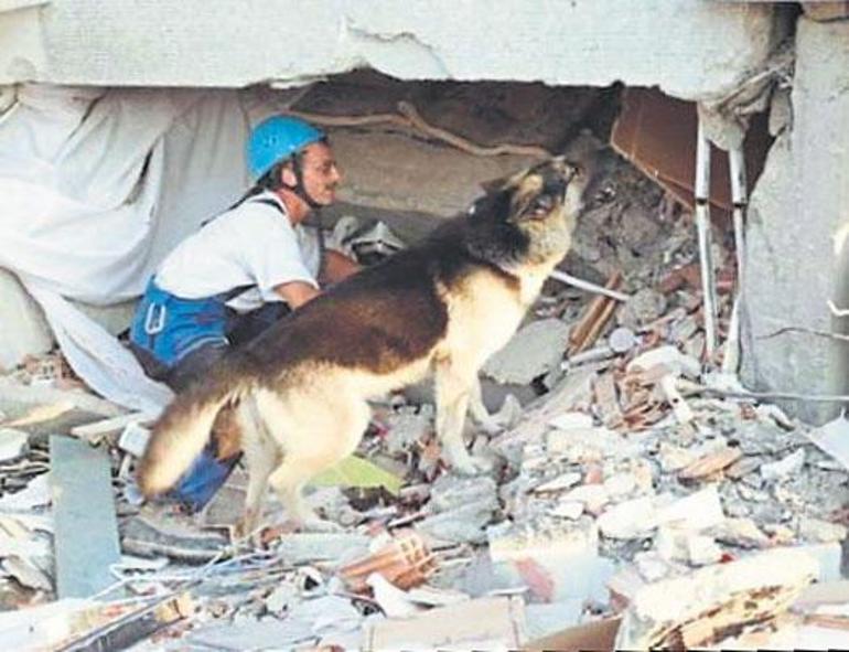 Gölcük depreminde gelmişti... Macar Laszlo Lehoczki yine yardımımıza koştu