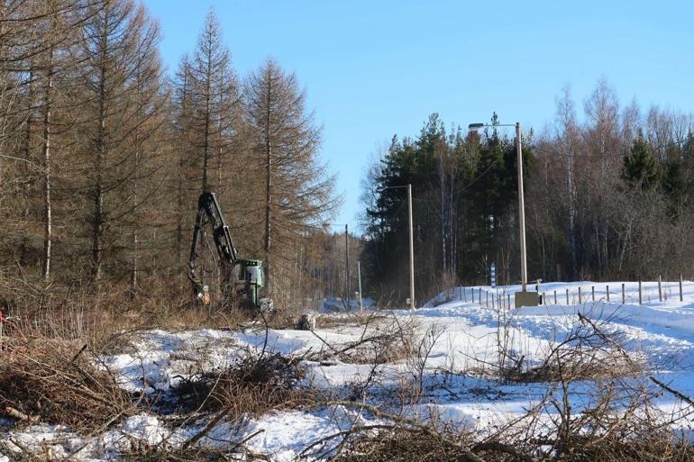 Finlandiya, Rusya sınırına tel örgülü çit çekmeye başladı