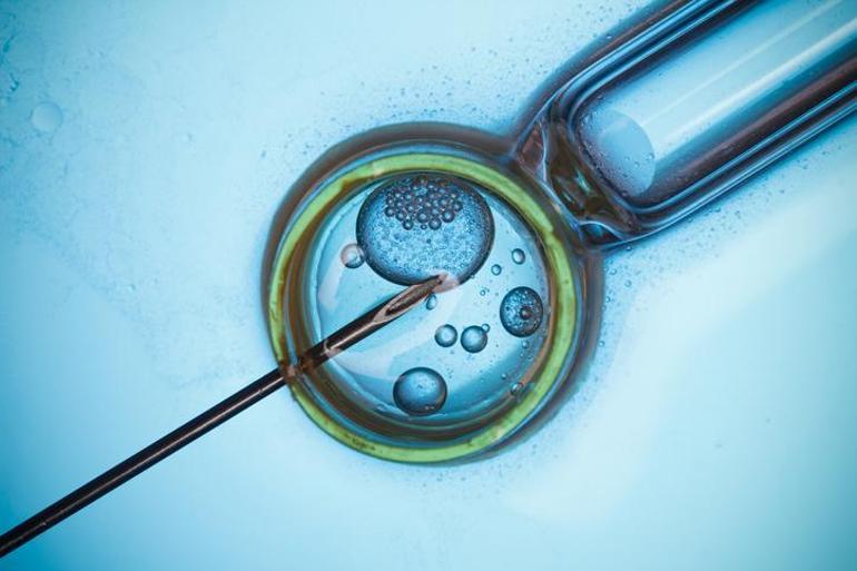 Tüp bebek kliniğine kalıtsal hastalıklı embriyo suçlaması