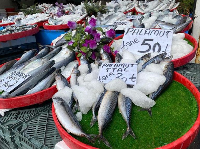 Sivasta balıkçılar sezonu kapatmaya hazırlanıyor