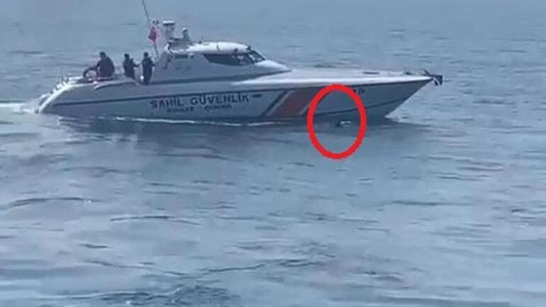 Feribottan atlayan yolcuyu Sahil Güvenlik ekibi kurtardı