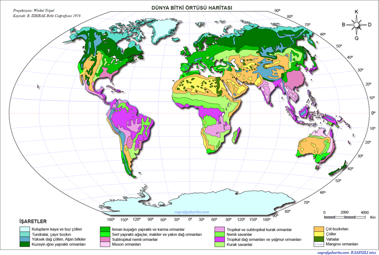 Dünya siyasi haritası Renkli, büyük, yüksek çözünürlüklü dünya haritası…