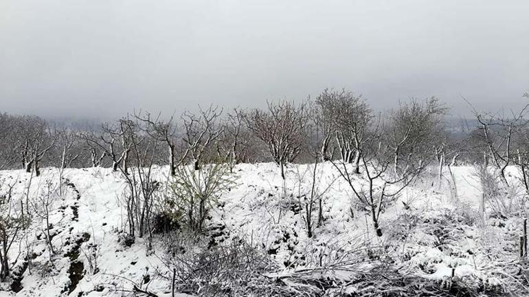 Yoğun kar yağışı sonrası Dağmarmarada okullar tatil edildi