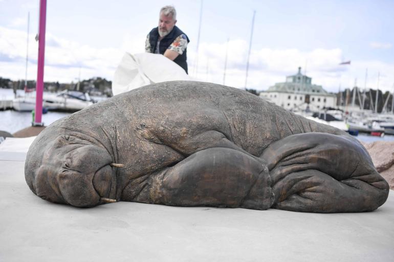 Norveçte uyutulan deniz aygırı Freyanın heykeli yapıldı