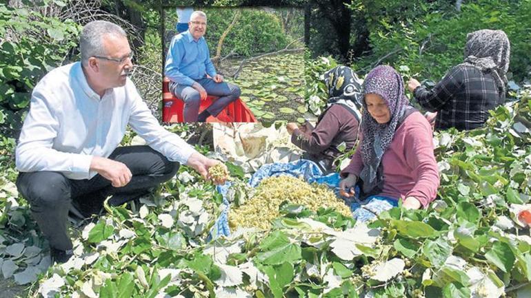 Tarihi Feshane sanat merkezine dönüştü