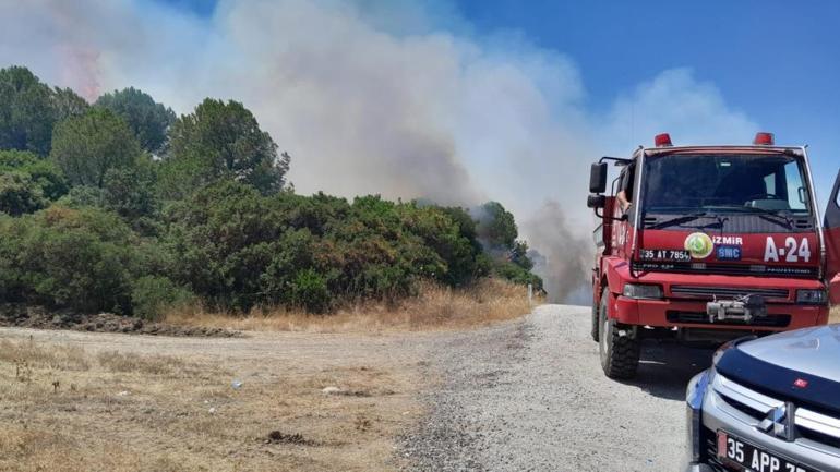 Son dakika: İzmir’de orman yangını Çok sayıda uçak seferi iptal edildi