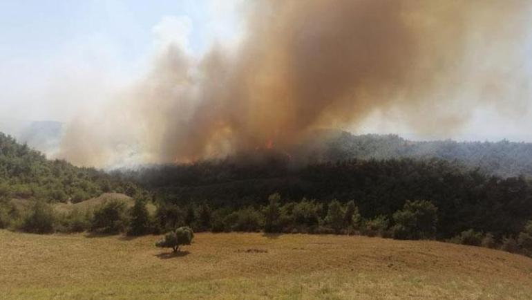 İki ilde korkutan orman yangını Havadan ve karadan müdahale edildi