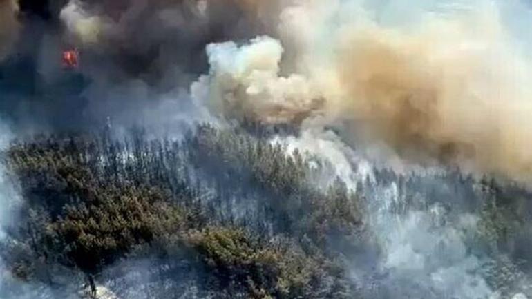 Son dakika... Milasta orman yangını Bakan Yumaklı son durumu açıkladı