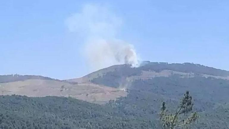 Adana ve Muğlada orman yangını Havadan ve karadan müdahale ediliyor