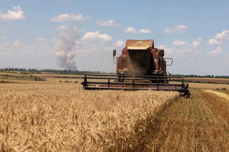 Tahıl koridorunda belirsizlik Avrupa alternatif arayışına girdi