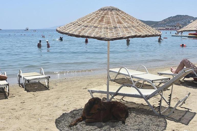 İzmirde sıcaklık rekoru kırıldı