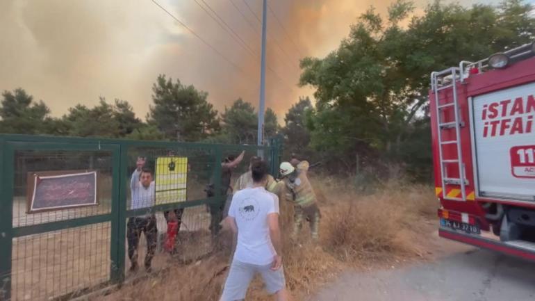 İstanbulda ormanlık alanda yangın