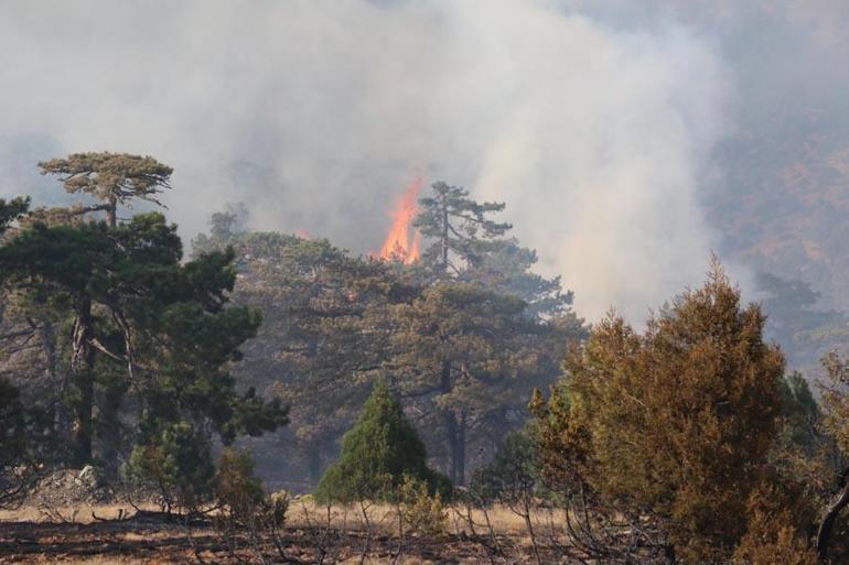 Antalya, Denizli, Bolu ve Eskişehirde orman yangını Ekipler müdahale ediyor