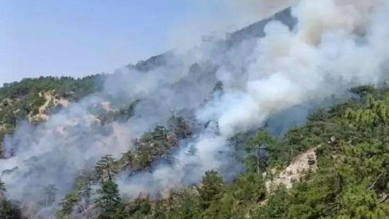 Bolu, Antalya, Bingöl ve Eskişehirde yangın Ekipler olay yerinde
