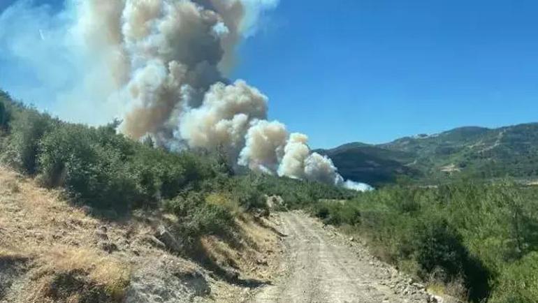 Antalya ve Manisada orman yangını: Havadan ve karadan müdahale ediliyor