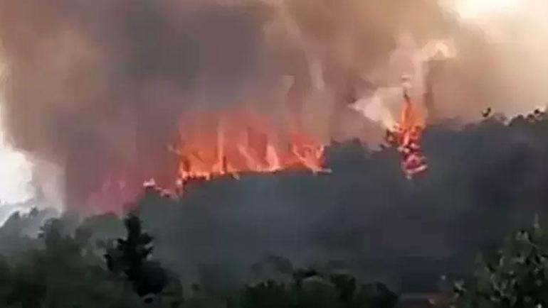 Antalyada orman yangını Teknelere sıçradı... 3 saatin sonunda kontrol altına alındı