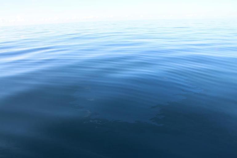 Karadenizde petrol rüyası gerçek oldu 365 ton kendiliğinden sızıyor