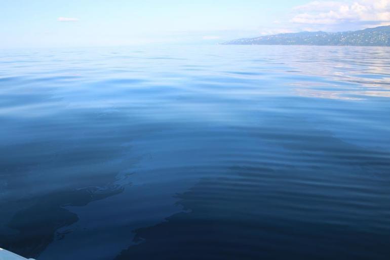 Karadenizde petrol rüyası gerçek oldu 365 ton kendiliğinden sızıyor