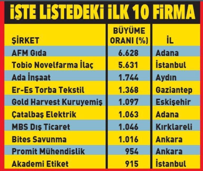 Türkiyenin en hızlı büyüyen şirketleri