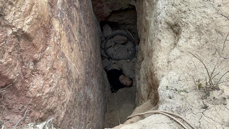 Mağarada define faciası 3 kişinin cansız bedenine ulaşıldı