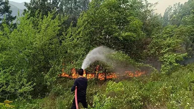 Kastamonuda orman yangını rüzgar etkisiyle yayıldı, ekipler olay yerinde