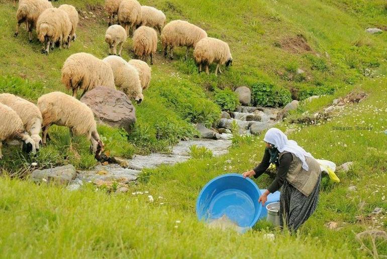 100 bin lira maaşla çalışan bulamıyorlar: Vasıfsız biri bile yapabilir