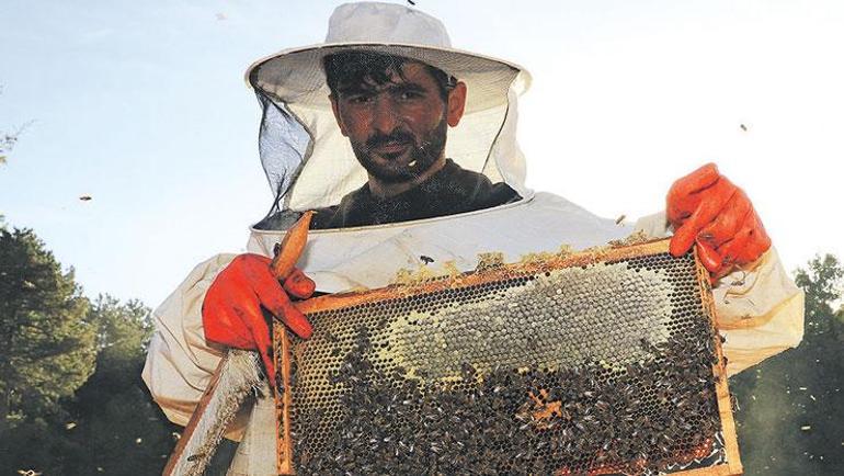 Dünya kenti Muğla