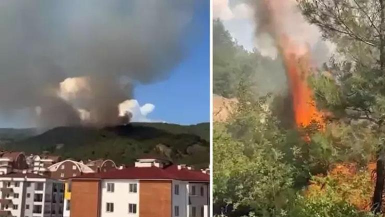 İzmir ve Adana ve Tokatta orman yangını