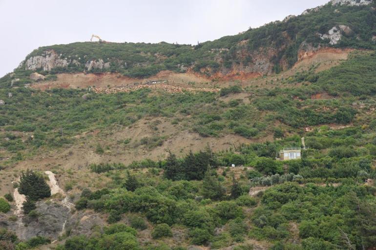 Mahalleli diken üstünde: Kayısı toplarken hayatlarının şokunu yaşadılar