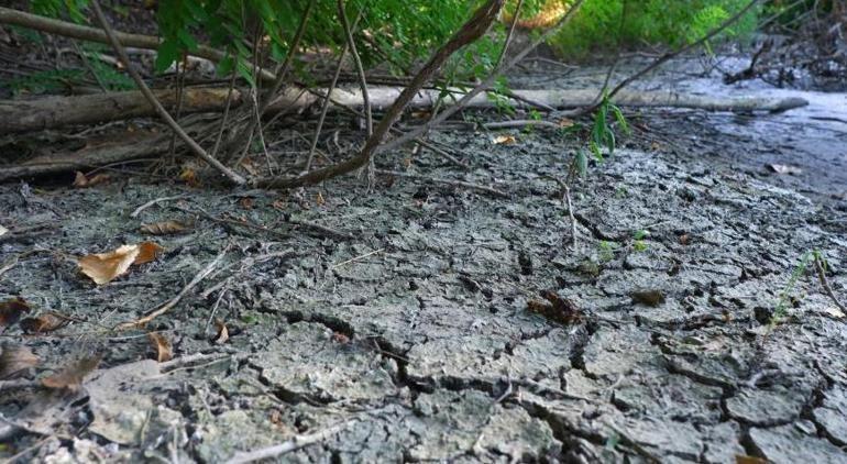 Kuraklığı en net anlatan fotoğraf Balık tuttukları nehir kumsala dönüştü