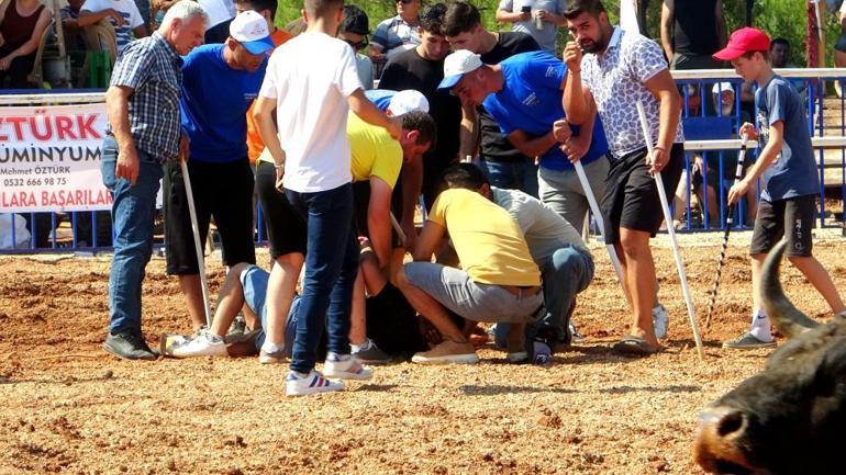 Rakibine yenilen boğa, öfkesini sahibinden çıkardı