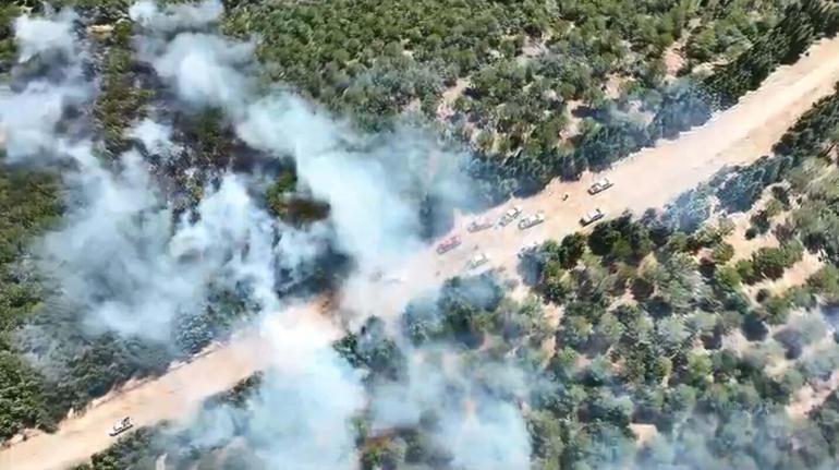 Çanakkale Bayramiç ilçesinde orman yangını