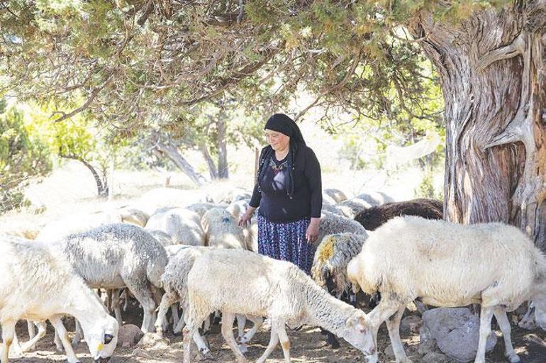 Sahip çıkalım sahipsiz bırakmayalım