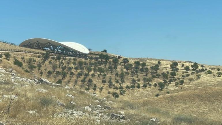 Göbeklitepede ağaç dikme iddialarına açıklama Üzücü ve utanç verici