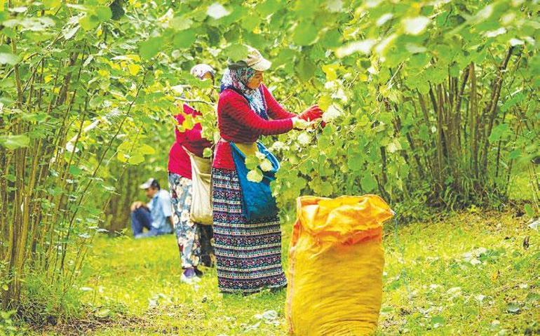 Boluda yere izmarit atan yandı