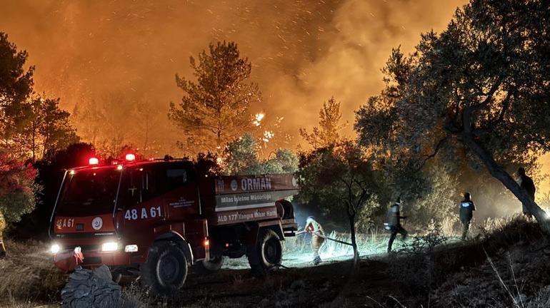 İzmirde orman yangını evlere sıçradı Yürek burkan görüntüler