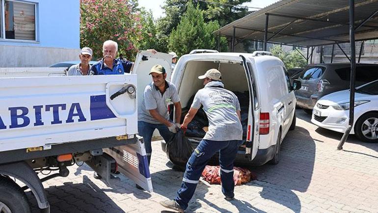 Kasap 1.5 ton at ve eşek etiyle yakalandı, savunması olay kadar vahim