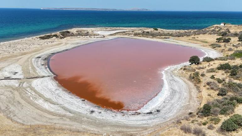 Kalpli Göl pembe renge bürününce araç girişleri yasaklandı