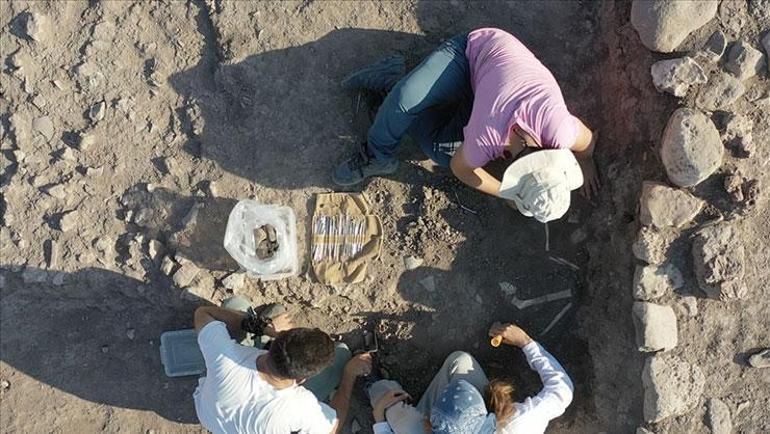 7 bin 600 yıllık geçmişe sahip Domuztepe Höyüğünde çocuk ve bebek iskeletleri bulundu