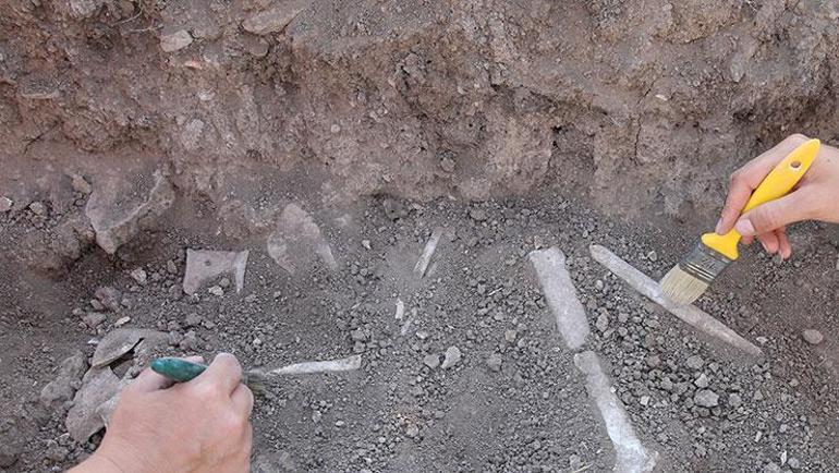 7 bin 600 yıllık geçmişe sahip Domuztepe Höyüğünde çocuk ve bebek iskeletleri bulundu