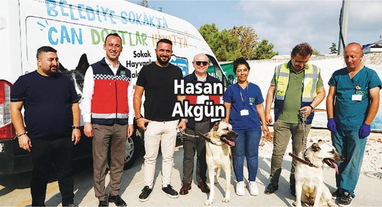 Sokak hayvanlarını sahiplendirme yarışı