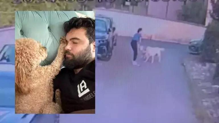 Köpek dehşet saçtı Kangalın saldırdığı Toffy öldü, sahibi kalp krizi geçirdi