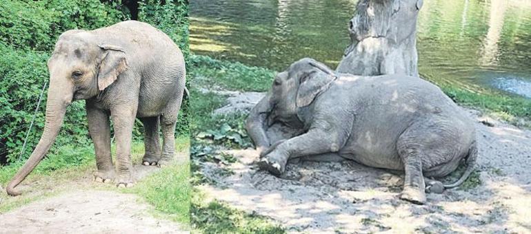 Bugünün ahlakıyla geçmişi yargılama sendromu: Anakronizm