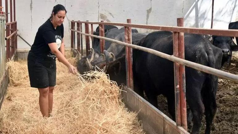 Zorluğu fırsata çevirdi 4 yıl işsiz kaldıktan sonra patron oldu