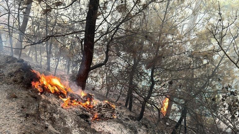 Muğla’da 3 ilçede orman yangını Havadan ve karadan müdahale ediliyor